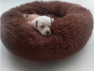 Ultra-Weiches Donut-Katzenbett - Ideal zum Kuscheln