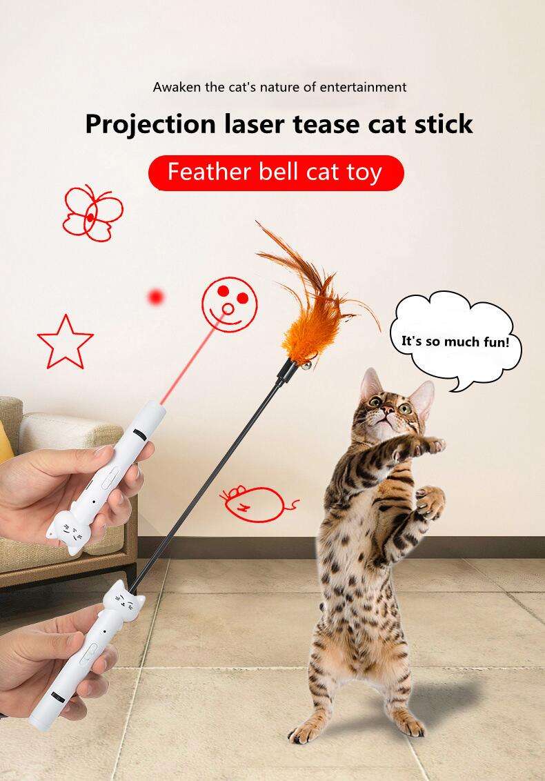 USB-Laser Katzenspielzeug mit Projektion