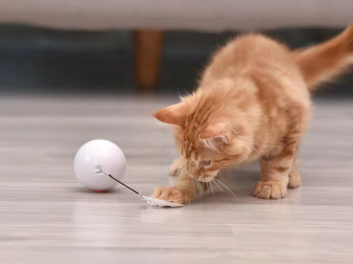 Automatischer Smart-Spielball für Katzen
