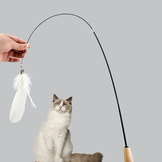 Katze spielt mit Teleskop-Katzenangel, fängt begeistert das Anhängsel am Ende des ausziehbaren Stabes