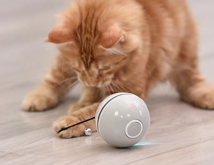 Automatischer Smart-Spielball für Katzen