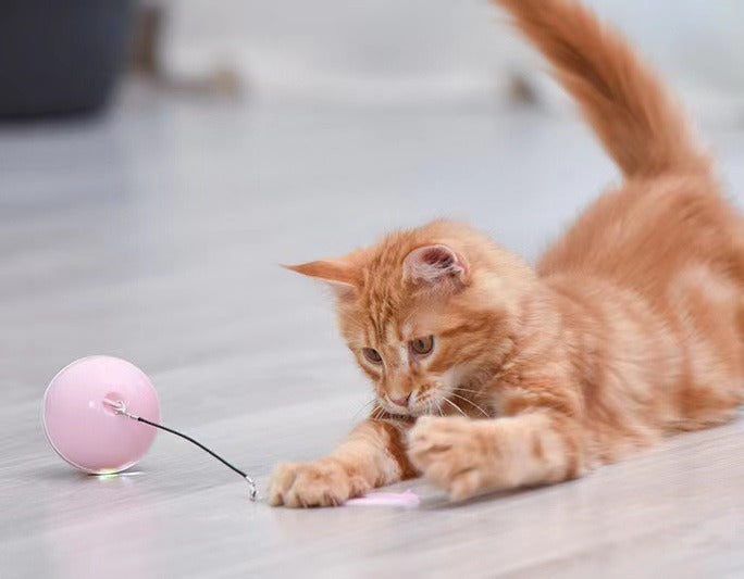 Automatischer Smart-Spielball für Katzen