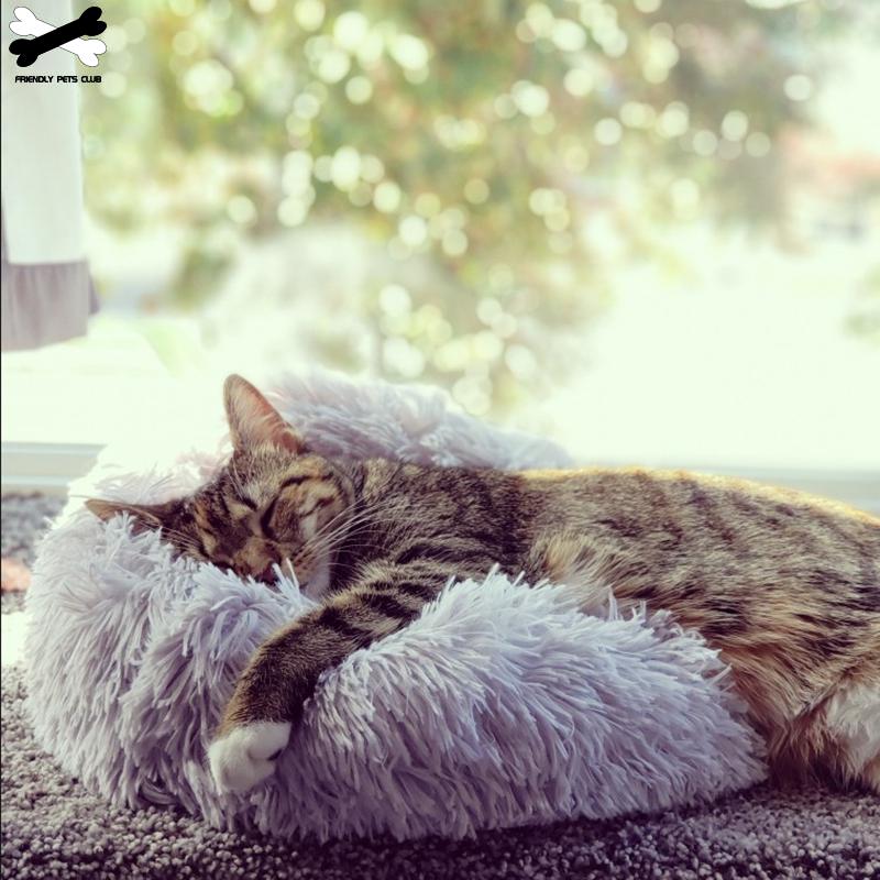 Ultra-Weiches Donut-Katzenbett - Ideal zum Kuscheln